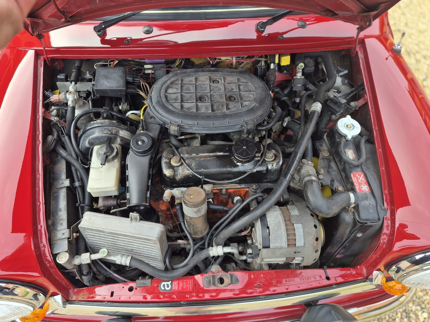 Used Rover Mini 2021 for sale - 77323902: Photo 30