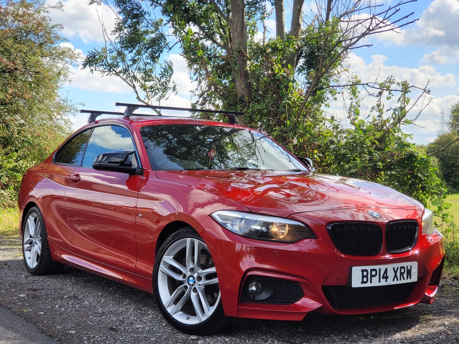 Used BMW 2 Series 2014 for sale - 76070095: Photo 1