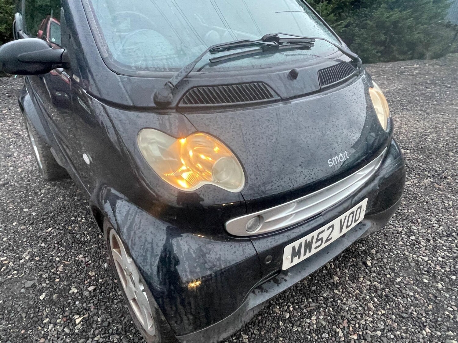 Used smart fortwo for sale - 77705632: Photo 21