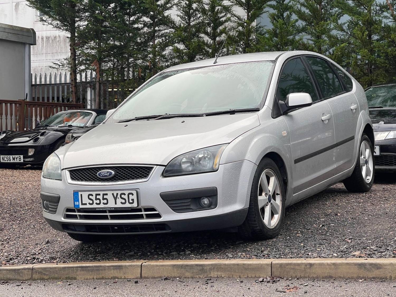 Used Ford Focus for sale - 77549416: Photo 3