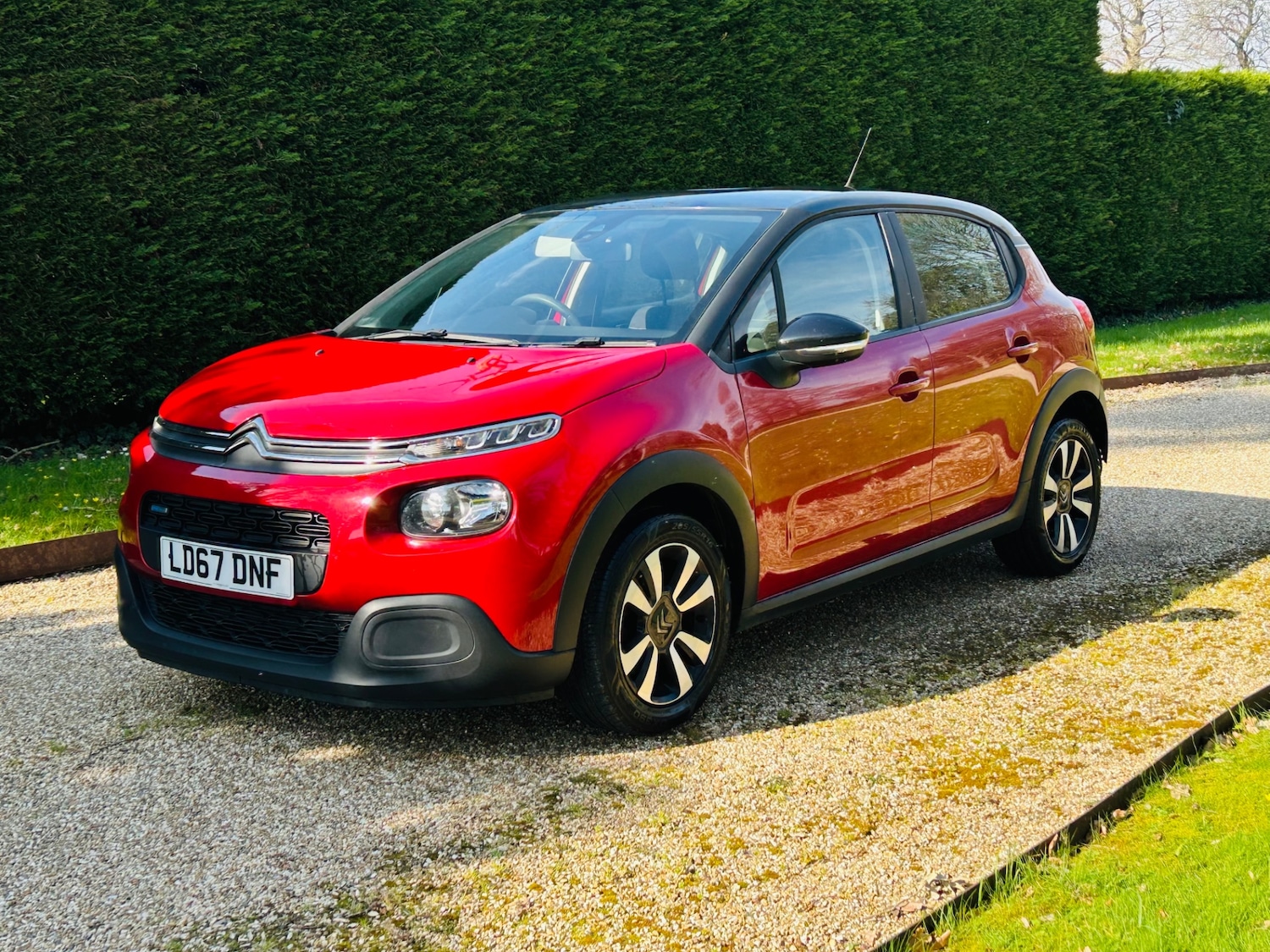 Used Citroen C3 2017 for sale - 77963821: Photo 2