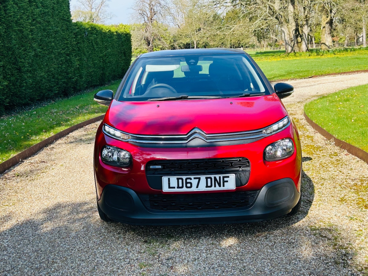 Used Citroen C3 2017 for sale - 77963821: Photo 3
