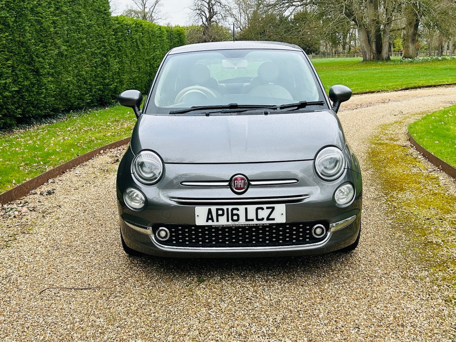 Used Fiat 500 2016 for sale - 77847961: Photo 3