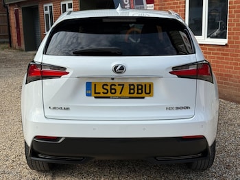 Used Lexus NX 2017 for sale - 76780962: Photo