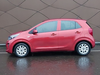 Used Kia Picanto 2019 for sale - 77338414: Photo