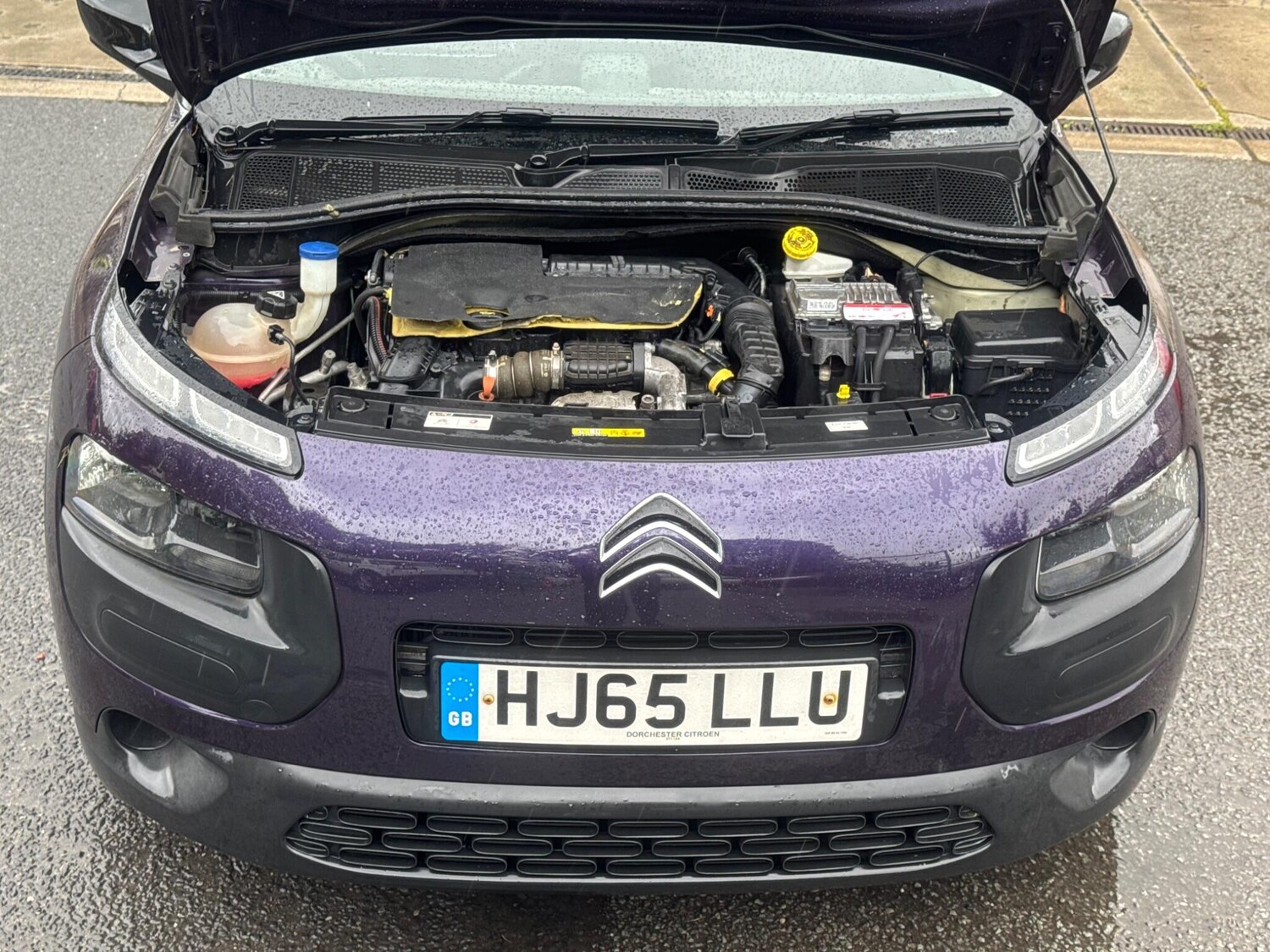 Used Citroen C4 Cactus for sale - 77633285: Photo 8