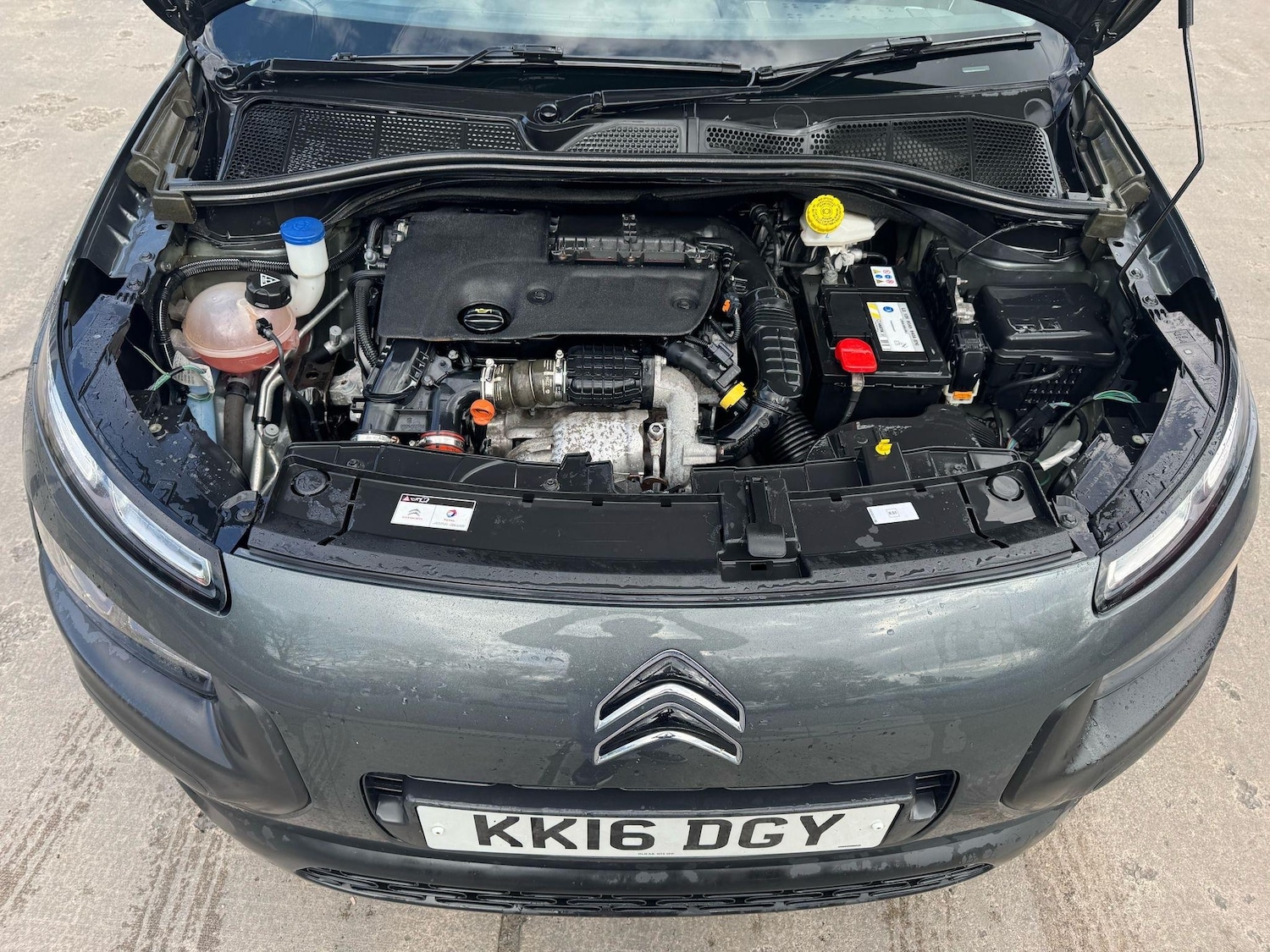 Used Citroen C4 Cactus 2016 for sale - 76994146: Photo 12