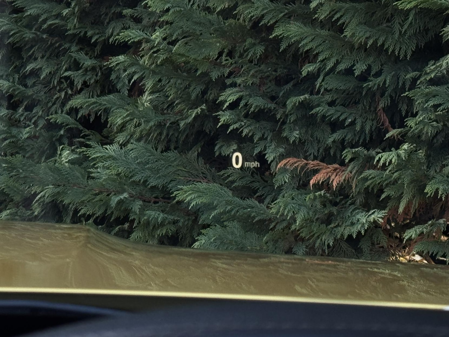 Used BMW M4 2018 for sale - 76709836: Photo 15