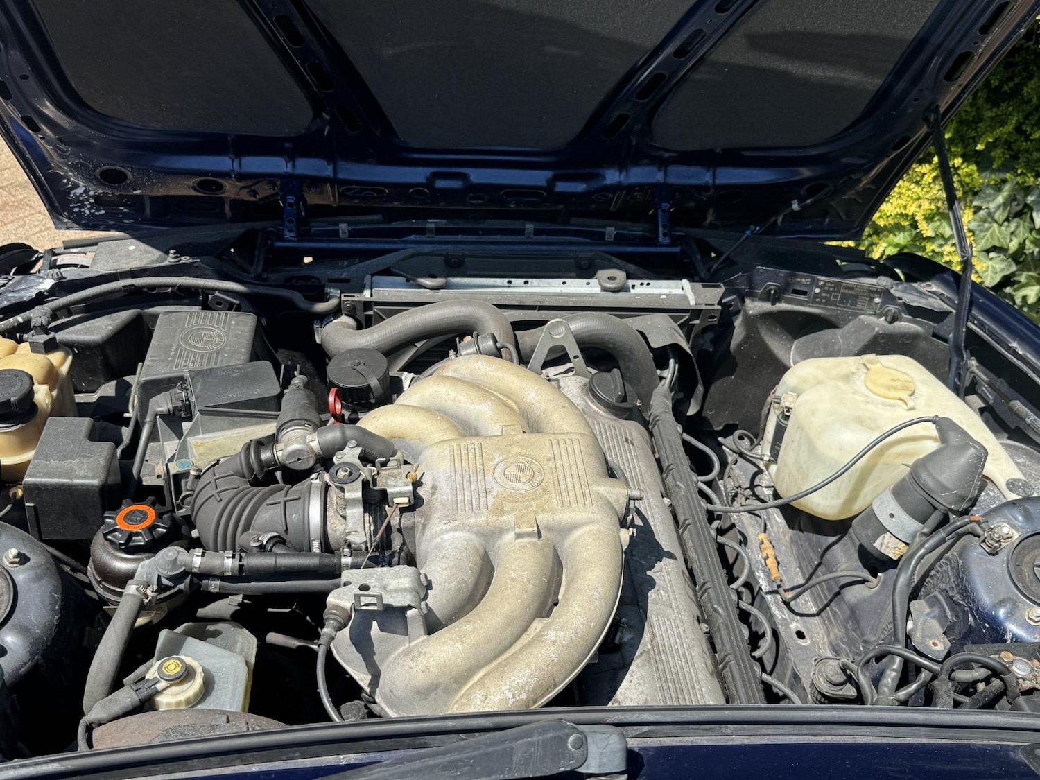 Vehicle 67