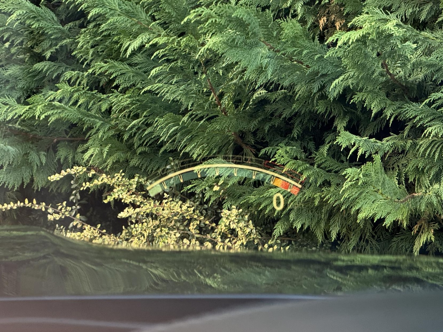 Used BMW M4 2019 for sale - 77264782: Photo 13