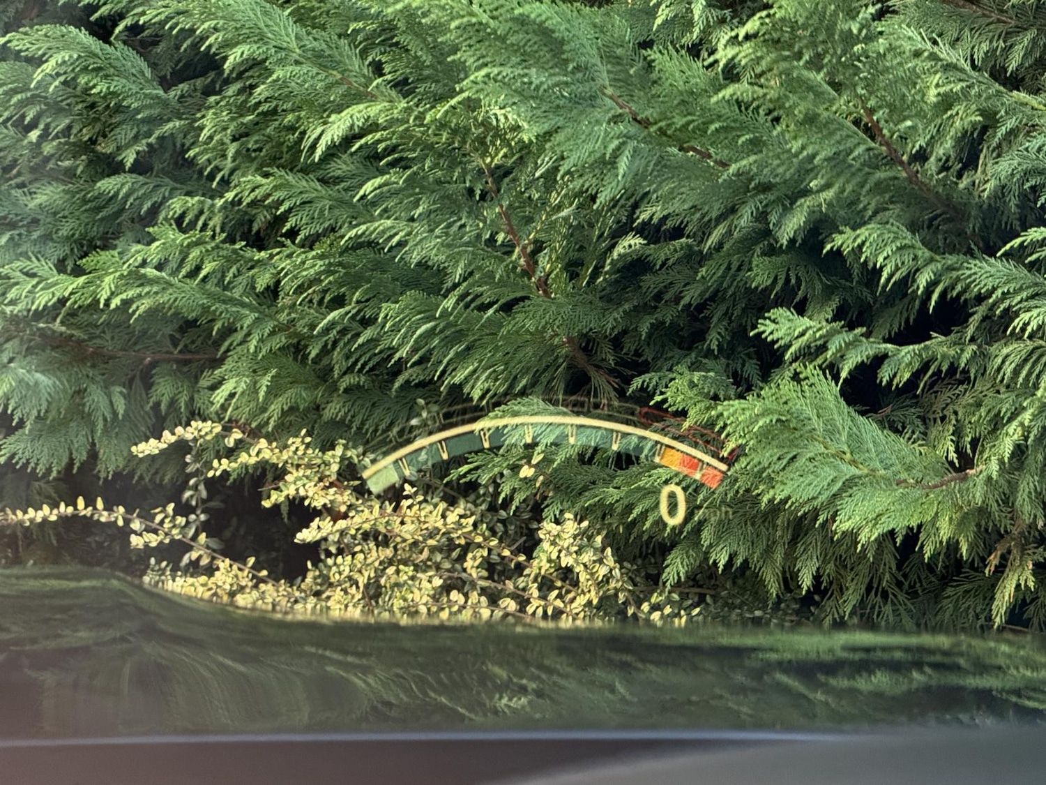 Used BMW M4 2019 for sale - 77264782: Photo 40