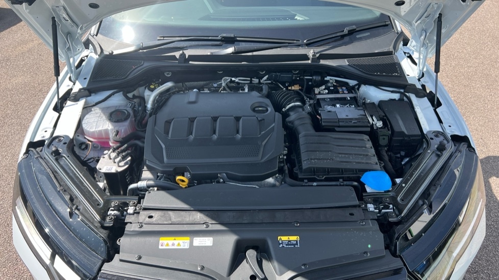 Used Skoda Octavia 2025 for sale - 76868632: Photo 17