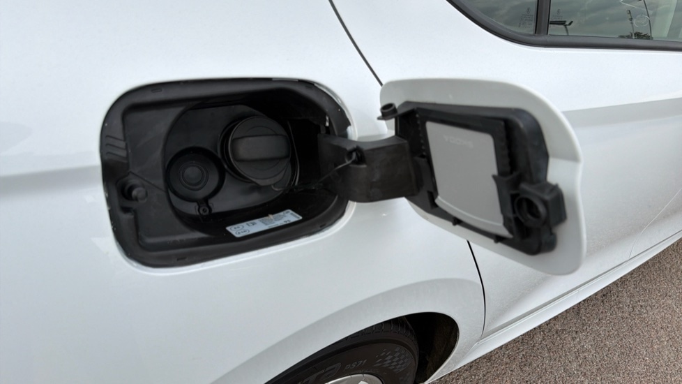 Used Skoda Octavia 2024 for sale - 76870488: Photo 24