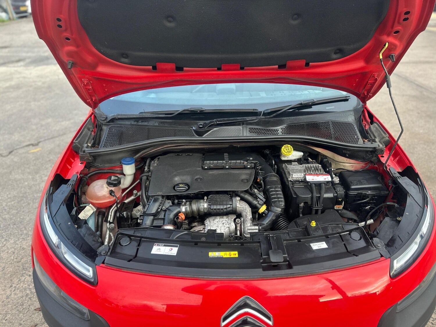 Used Citroen C4 Cactus 2015 for sale - 77605043: Photo 36