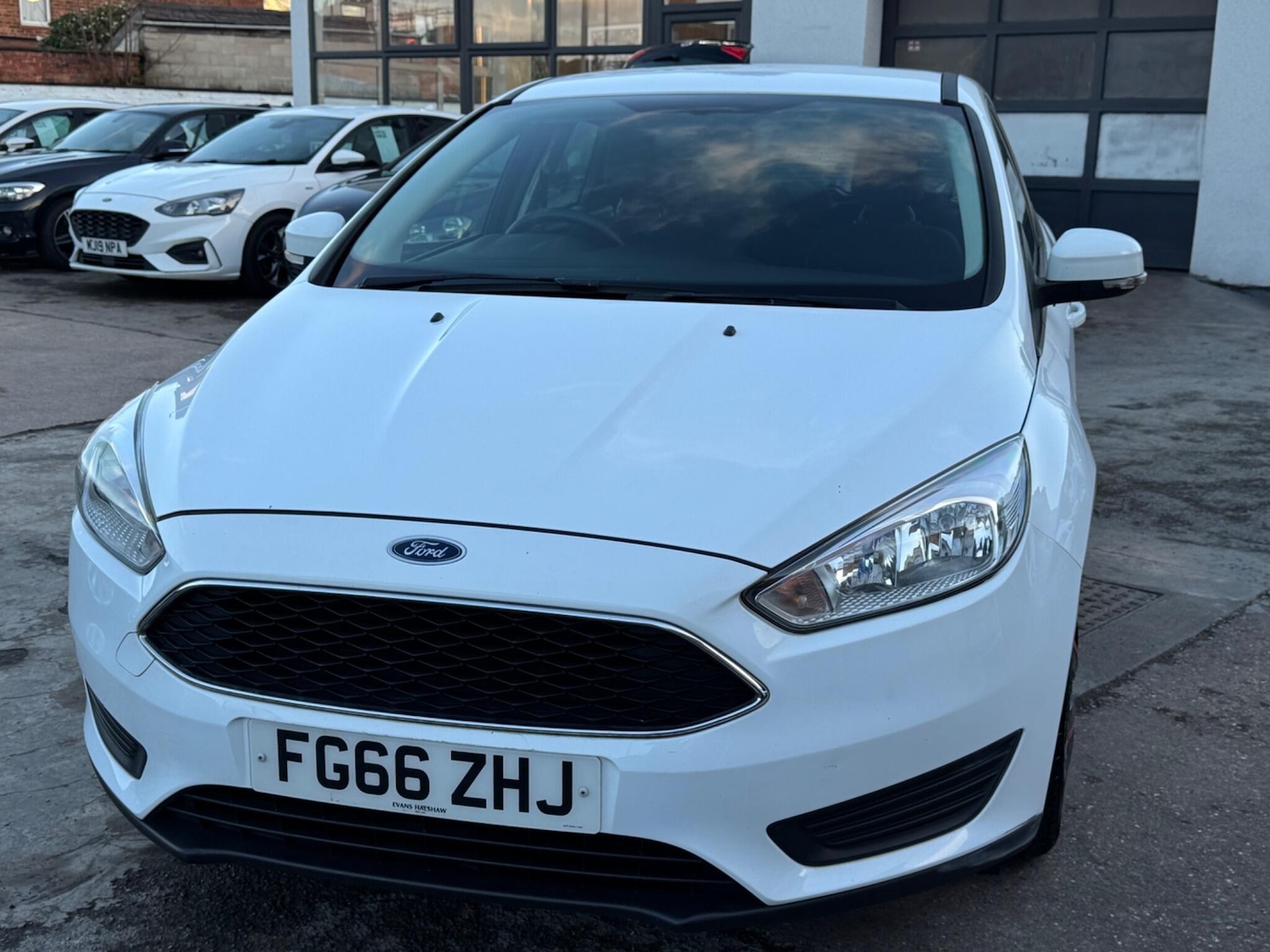 Used Ford Focus for sale - 77705575: Photo 24