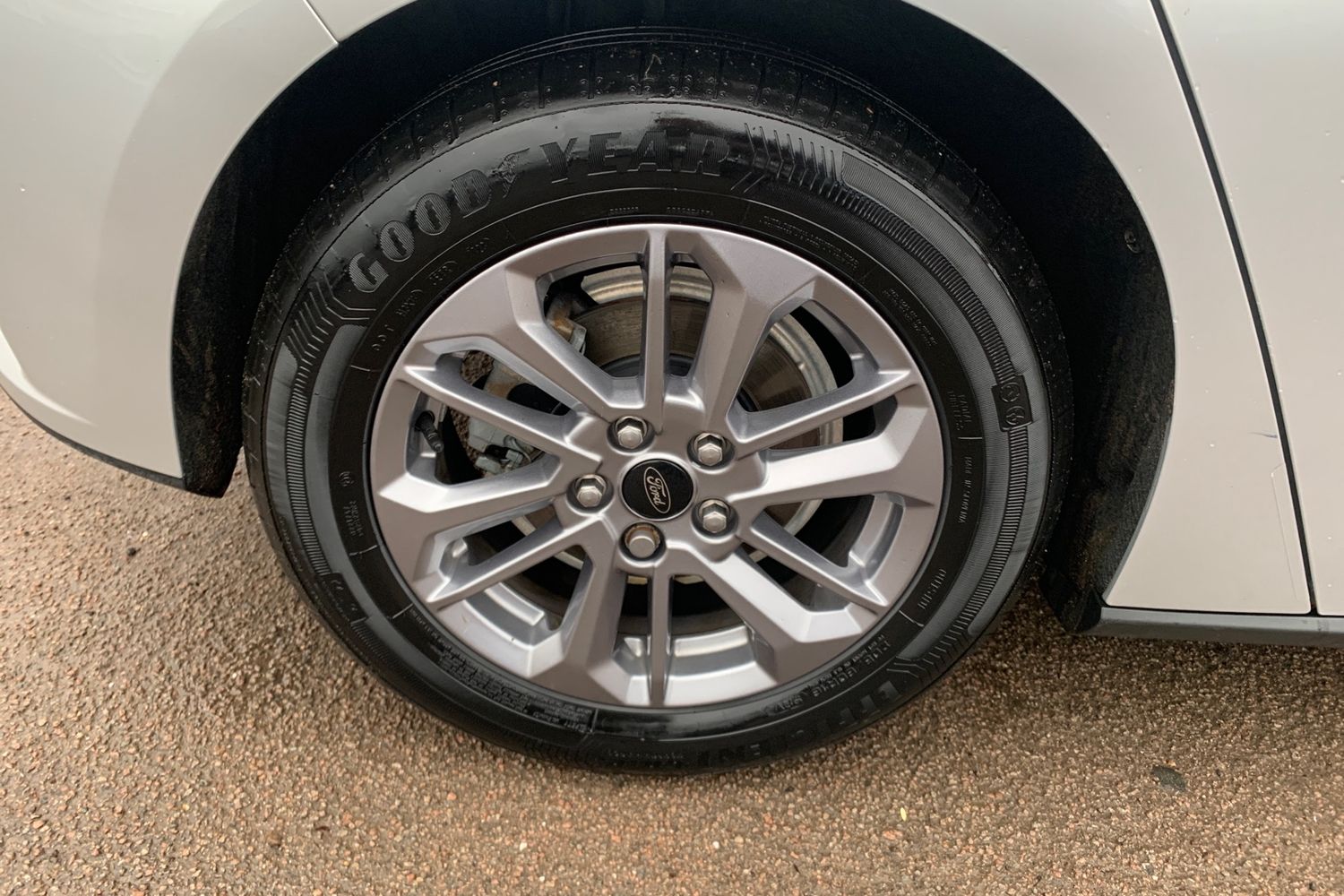 Used Ford Focus 2024 for sale - 76863702: Photo 15