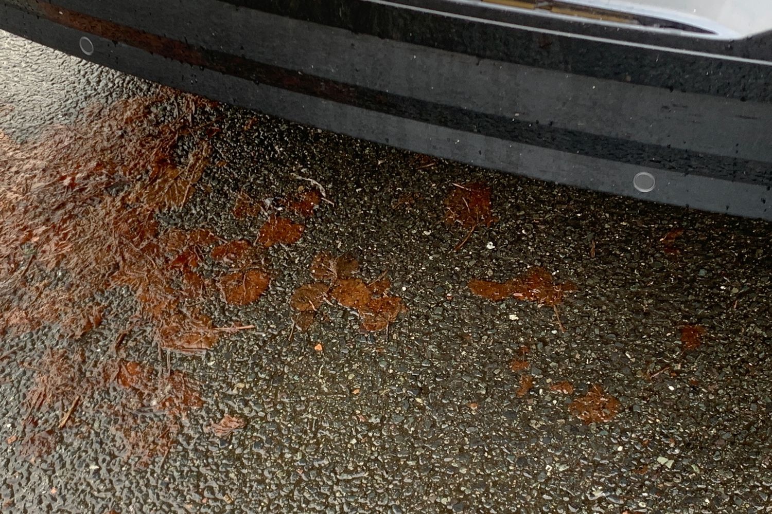 Used Ford Capri 2024 for sale - 76694229: Photo 16