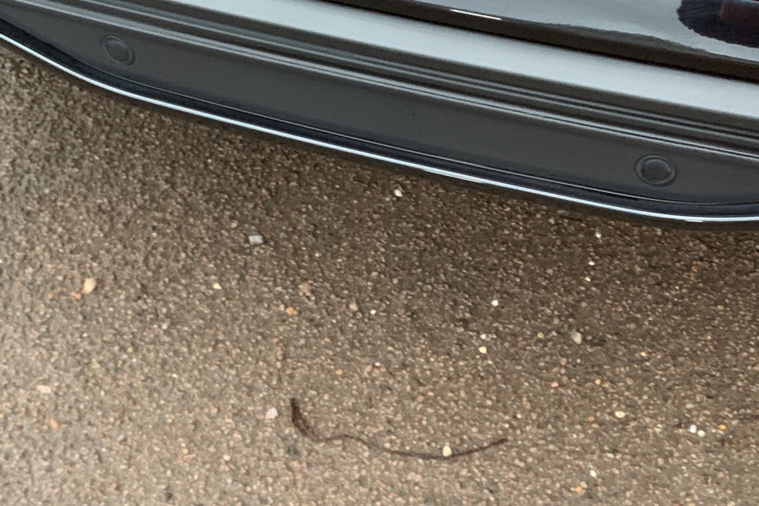 Used Ford Puma 2023 for sale - 76879290: Photo 27