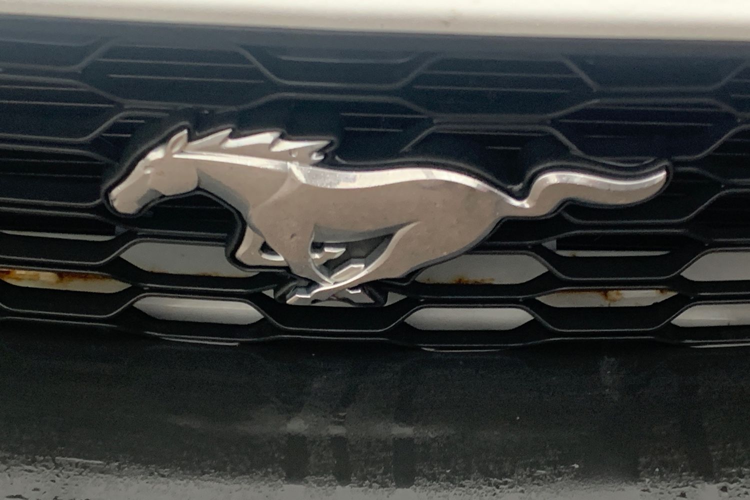 Used Ford Mustang 2019 for sale - 77365151: Photo 40