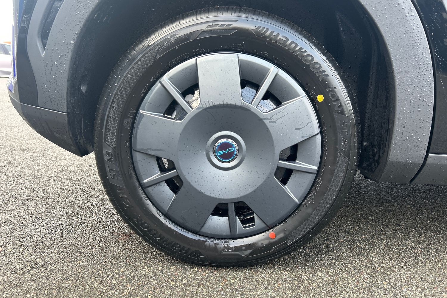 Used BYD Dolphin 2025 for sale - 77208302: Photo 11