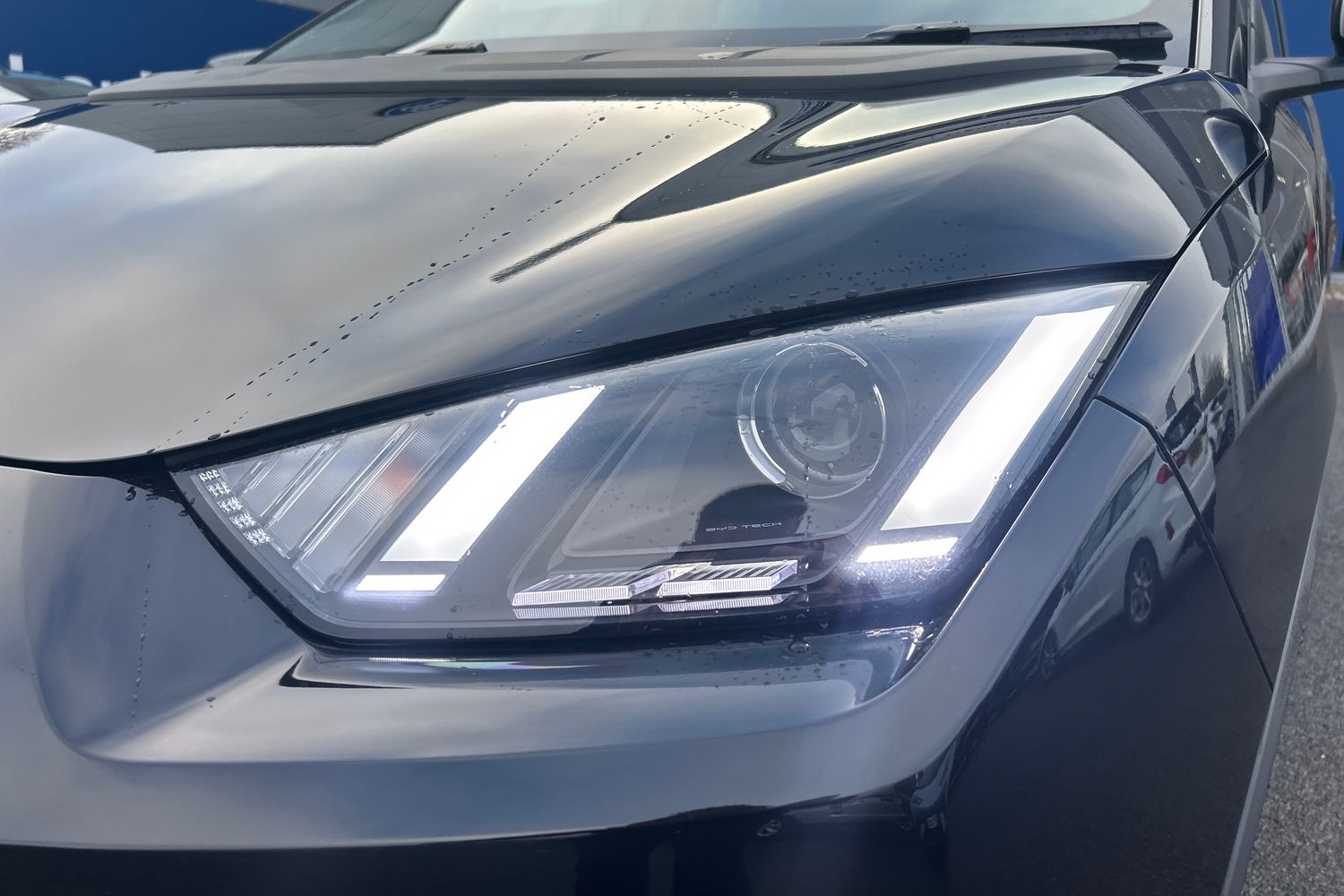 Used BYD Dolphin 2025 for sale - 77208302: Photo 19