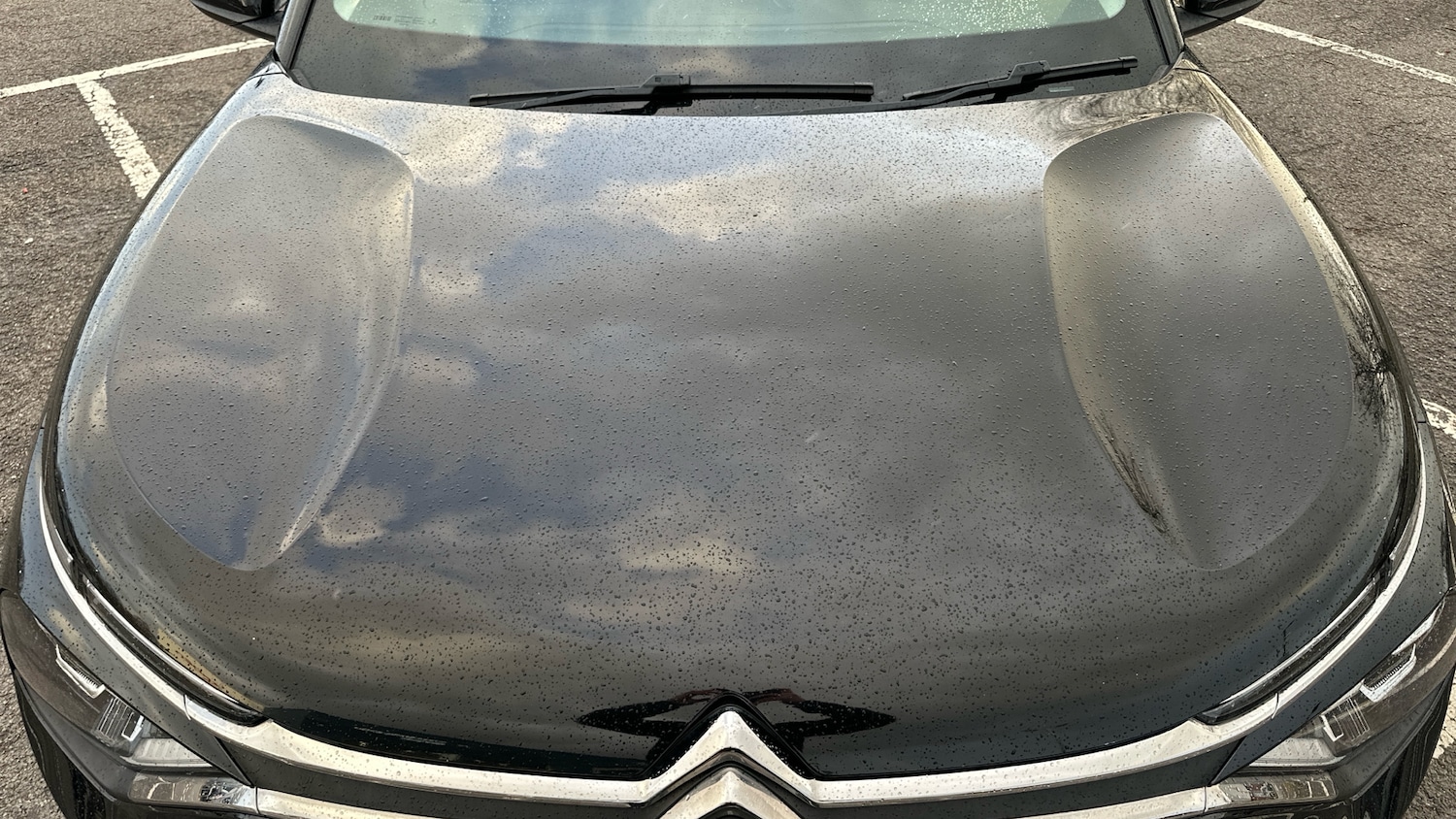 Used Citroen C4 2022 for sale - 77551329: Photo 18