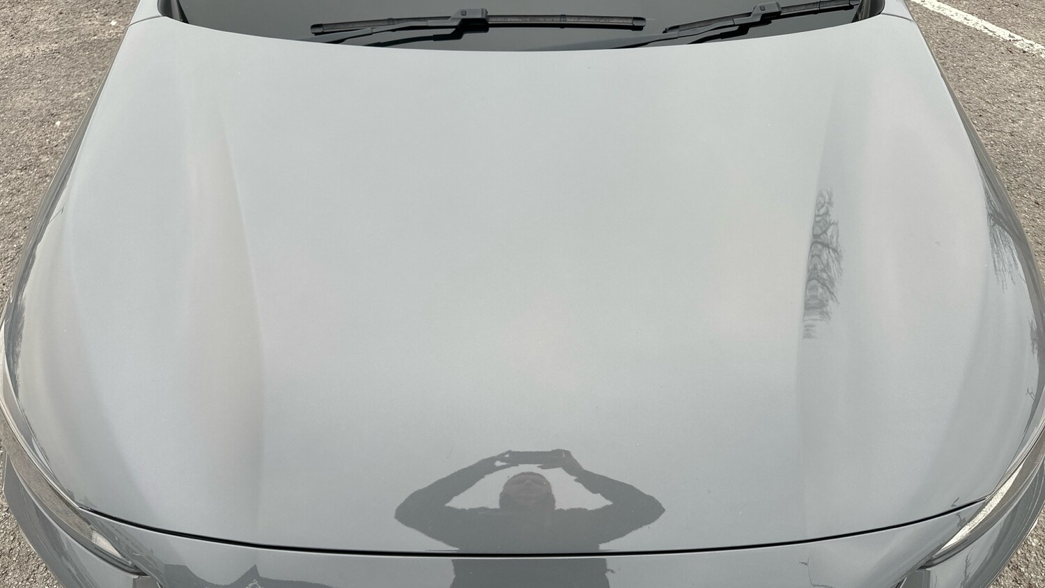 Used Peugeot 208 2024 for sale - 77754952: Photo 18