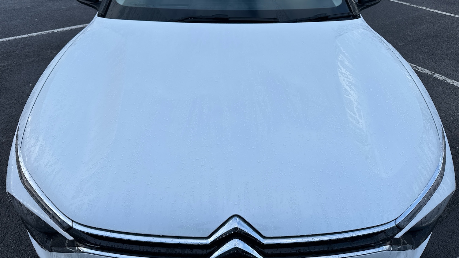 Used Citroen C5 X 2023 for sale - 77372307: Photo 19