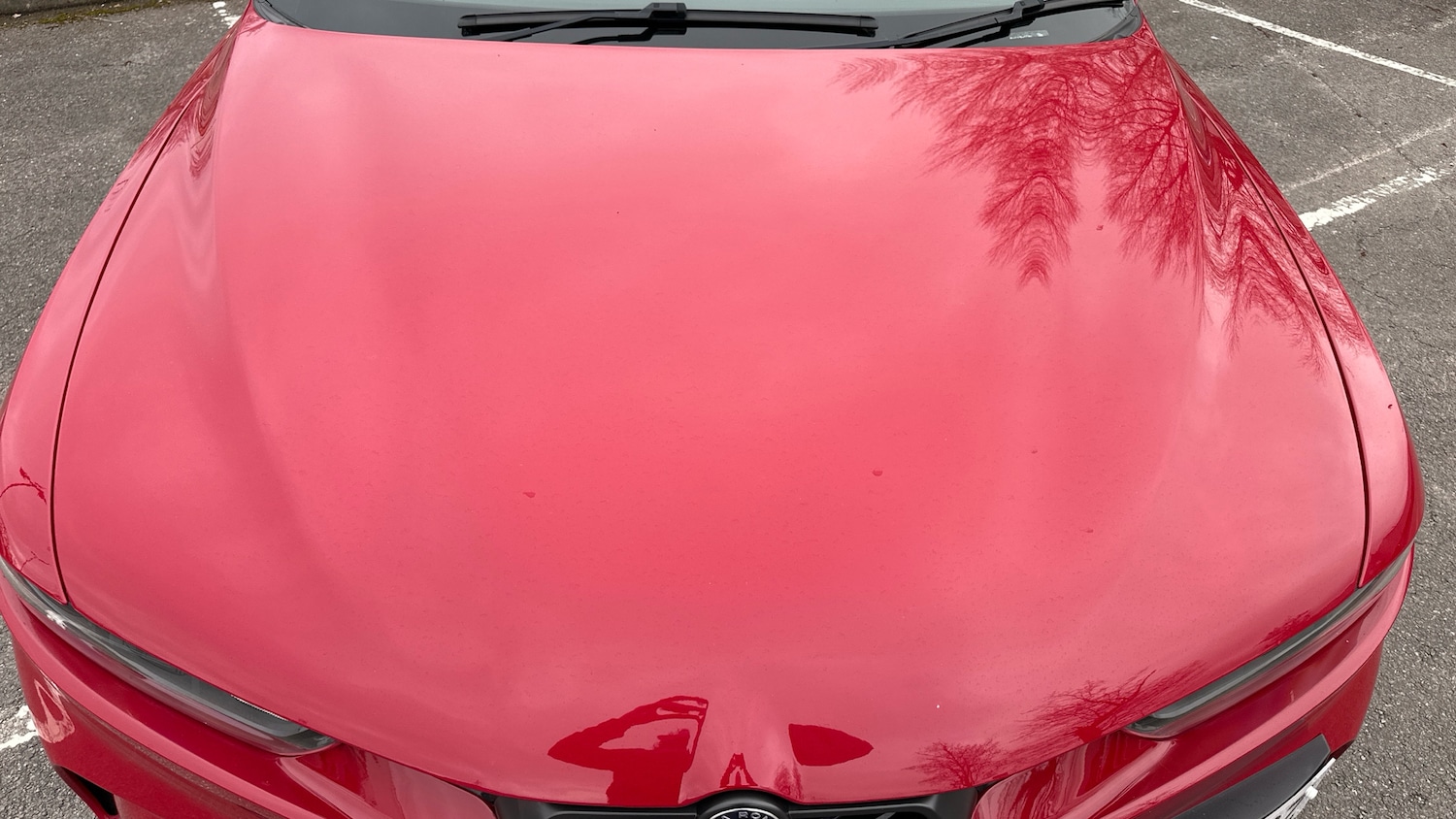 Used Alfa Romeo Tonale 2023 for sale - 77659654: Photo 18