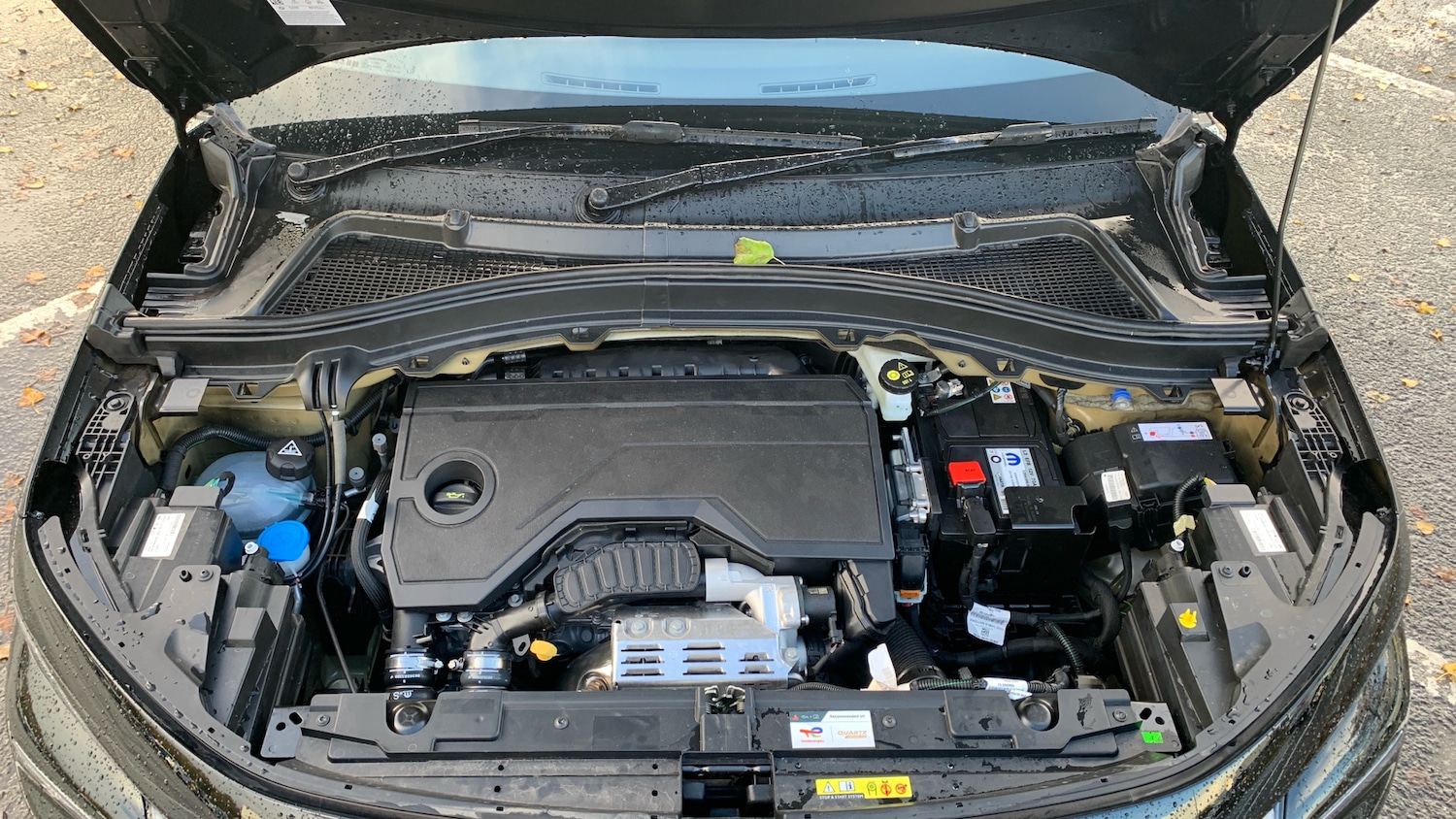 Used Citroen C3 2025 for sale - 76574438: Photo 18