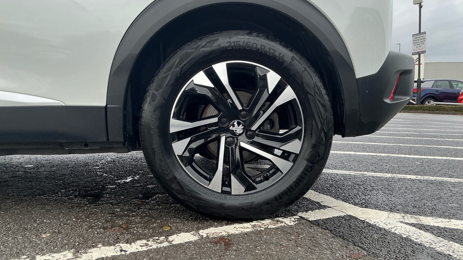 Used Peugeot 2008 2022 for sale - 76574318: Photo 15