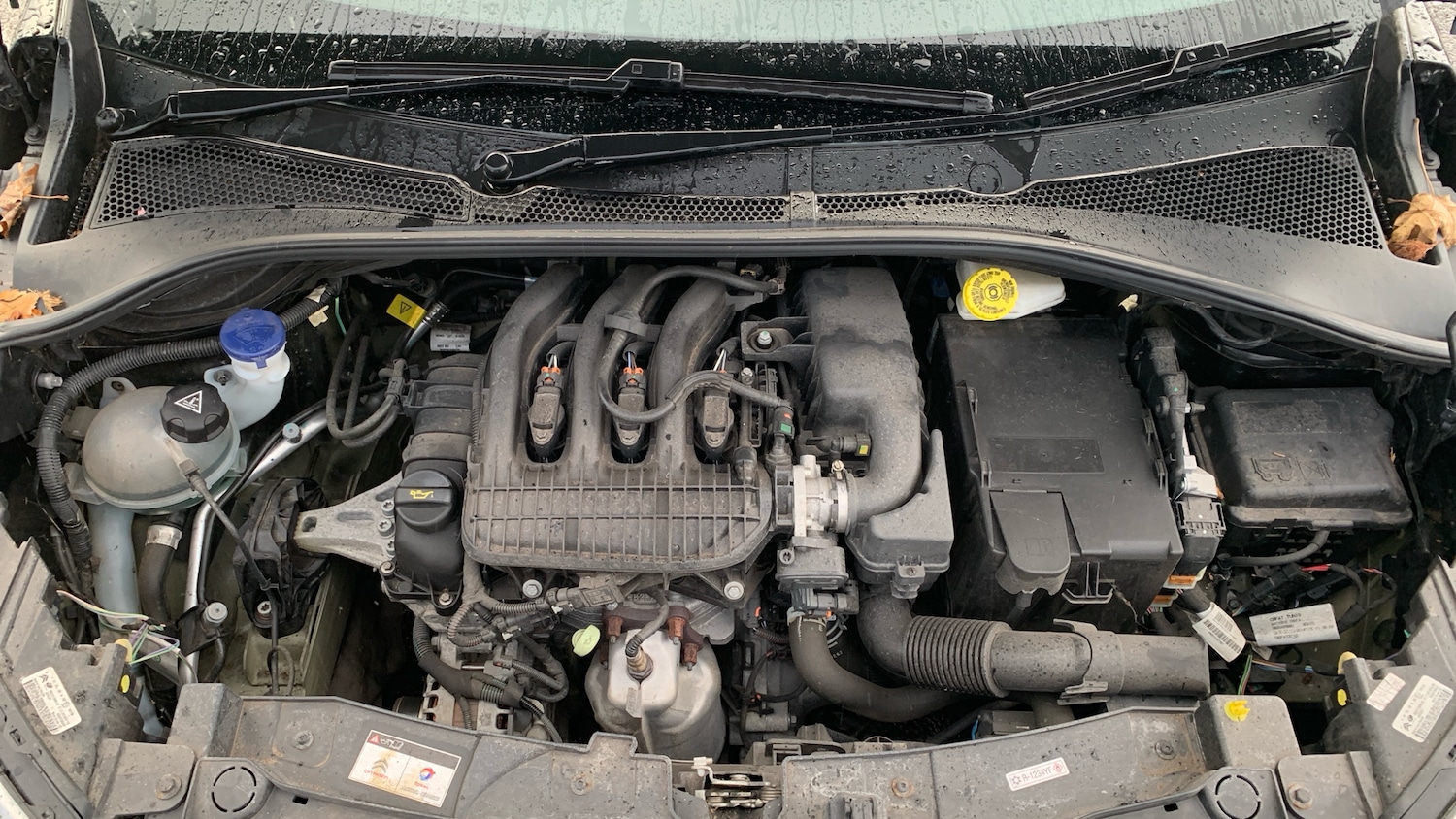 Used Citroen C3 2019 for sale - 76433809: Photo 18