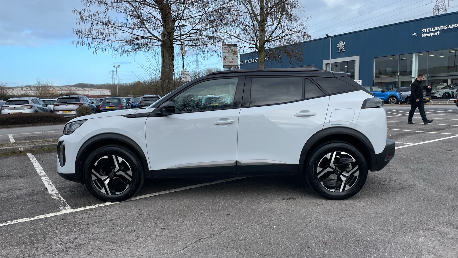 Used Peugeot 2008 2023 for sale - 77539140: Photo 6