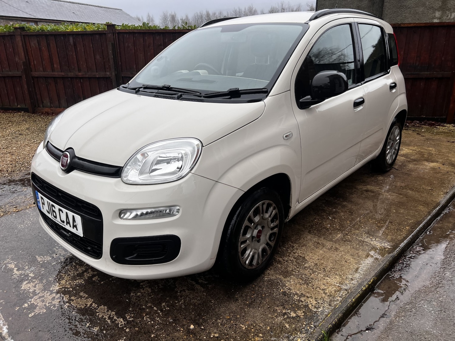 Used Fiat Panda 2016 for sale - 77465822: Photo 4