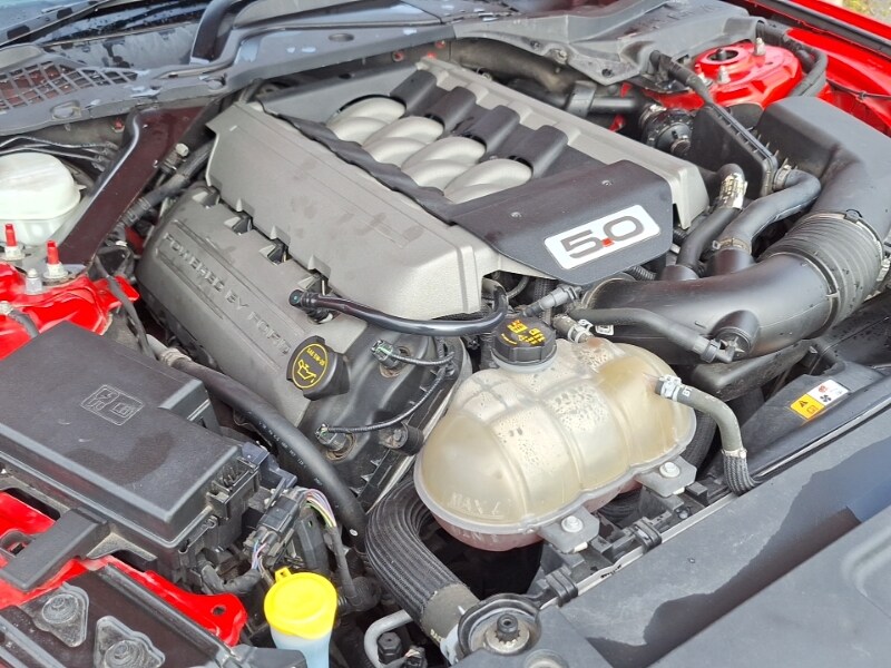 Used Ford Mustang 2018 for sale - 78211276: Photo 13