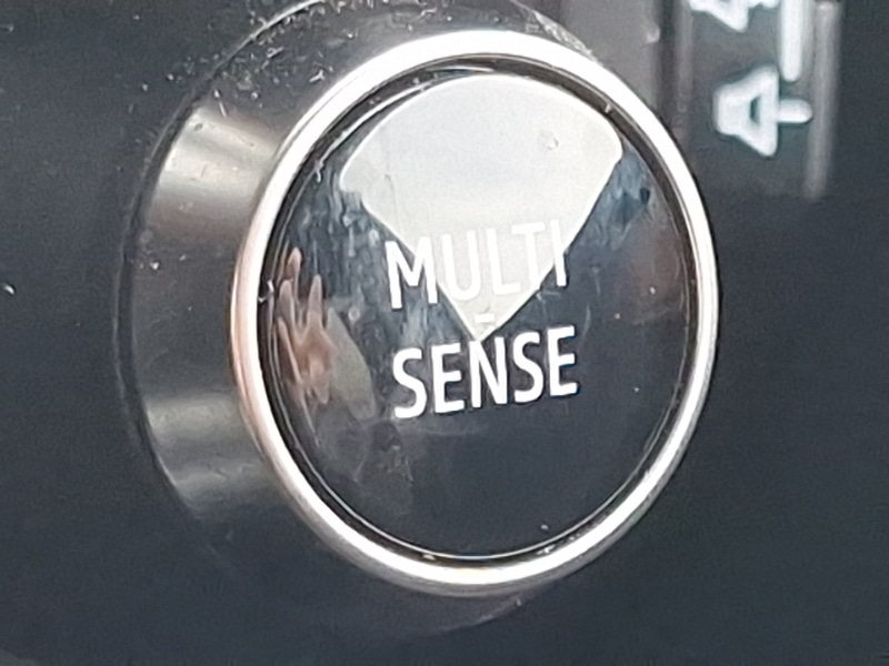 Used Renault Austral 2025 for sale - 76471651: Photo 17