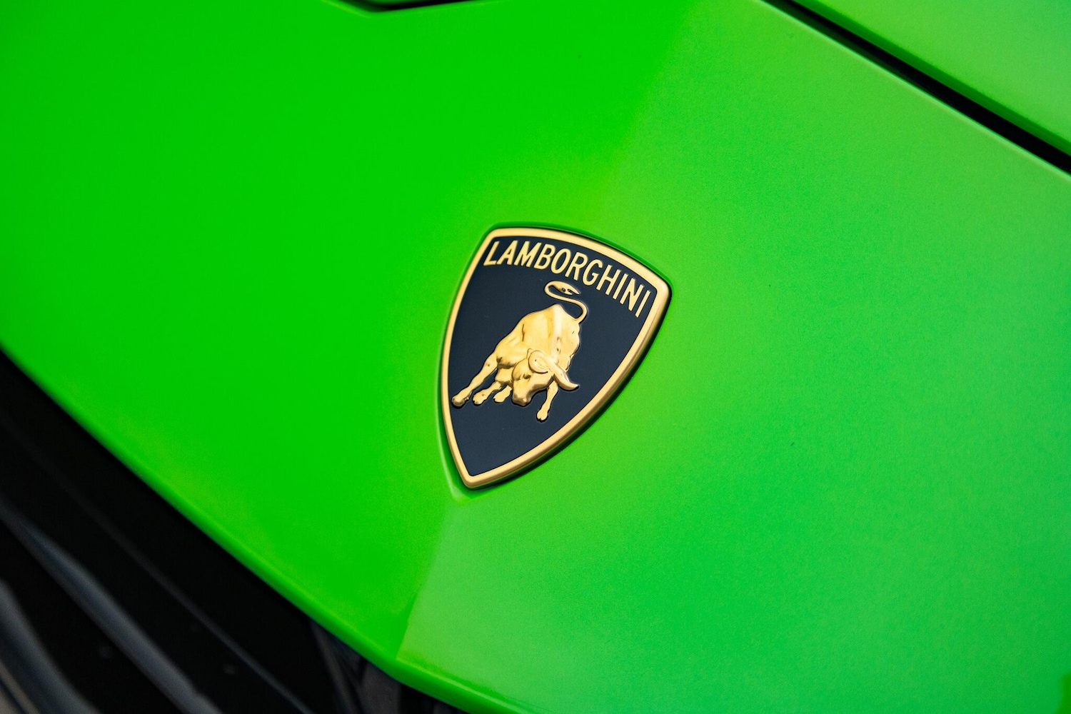 Used Lamborghini Urus 2025 for sale - 77254916: Photo 47