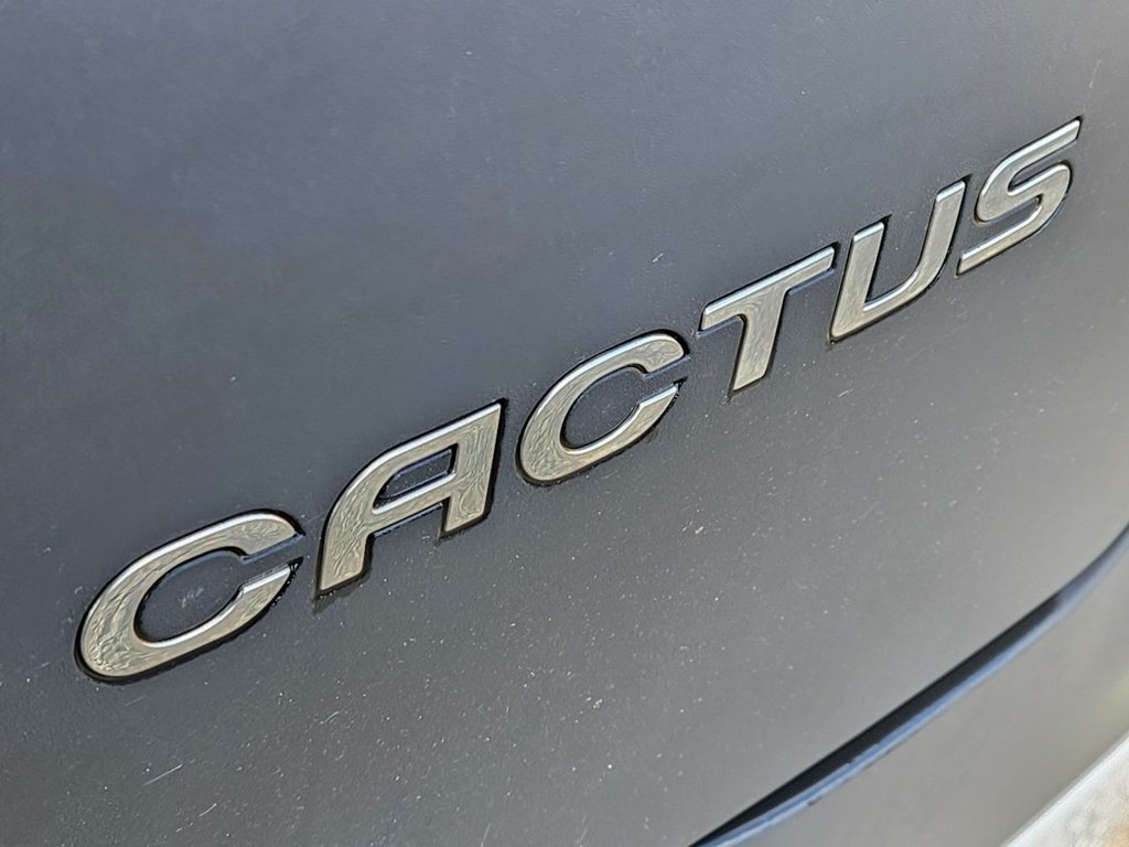 Used Citroen C4 Cactus 2015 for sale - 77636729: Photo 11