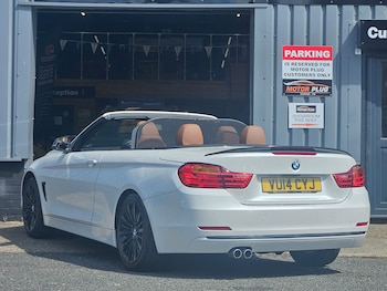 Used BMW 4 Series undefined for sale - 78481760: Photo