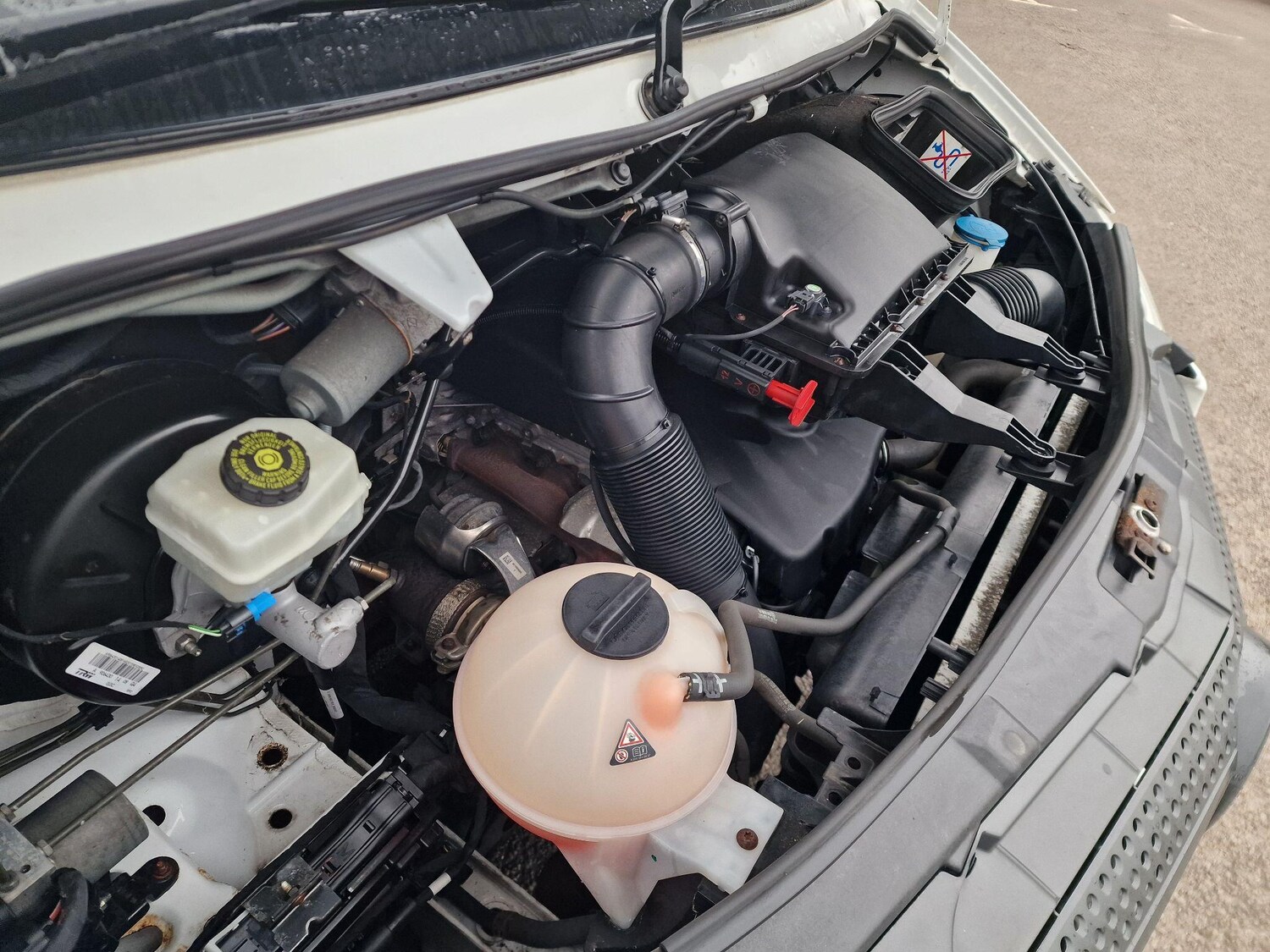 Used Mercedes-Benz Sprinter for sale - 77671339: Photo 10