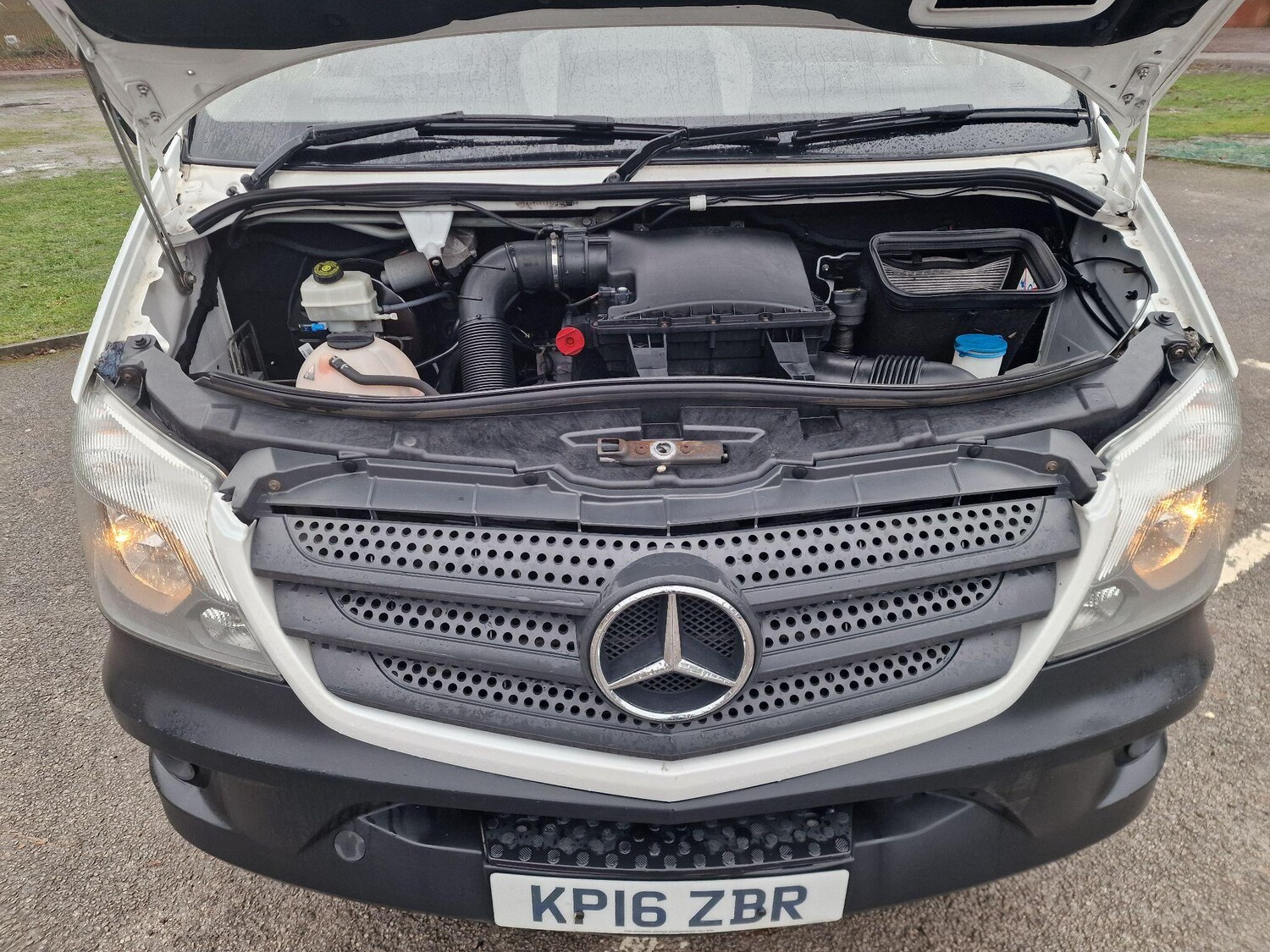 Used Mercedes-Benz Sprinter for sale - 77671339: Photo 9