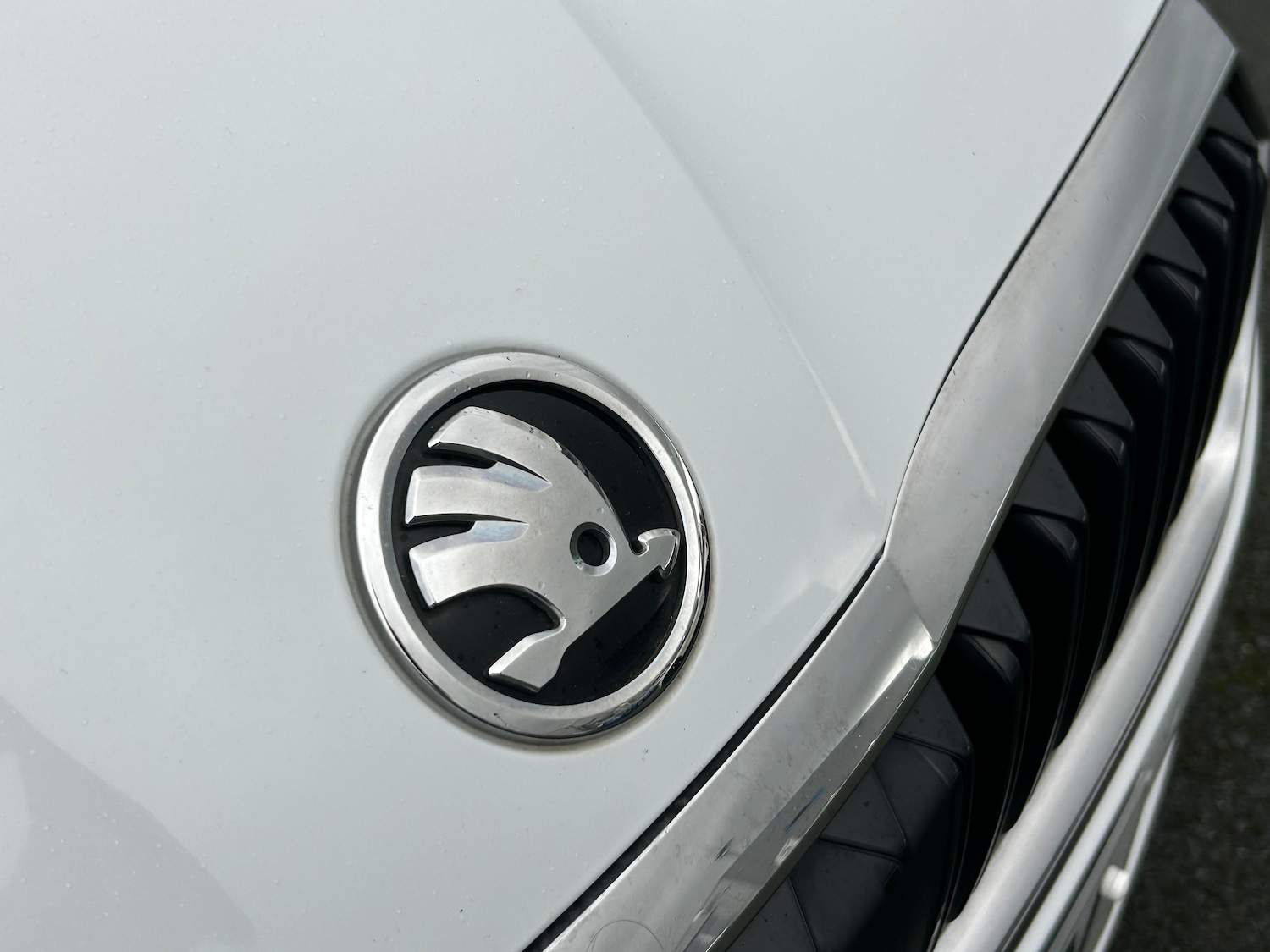 Used Skoda Octavia 2022 for sale - 76436721: Photo 12