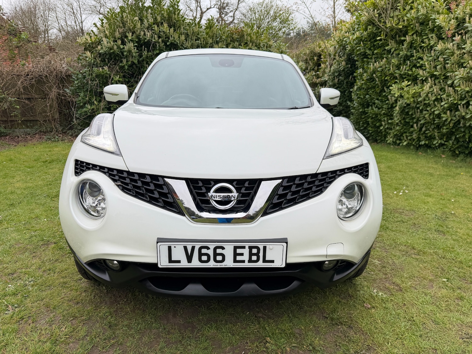 Used Nissan Juke 2016 for sale - 78132215: Photo 2