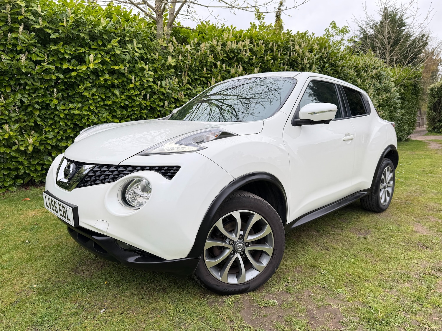 Used Nissan Juke 2016 for sale - 78132215: Photo 3