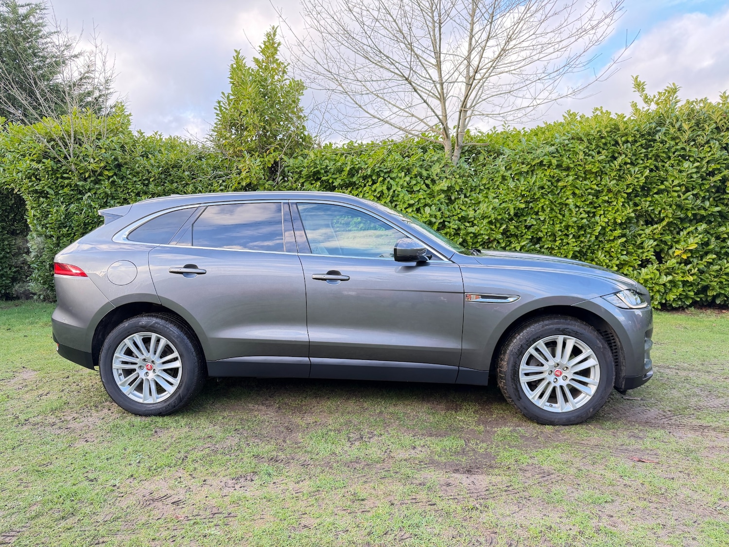 Used Jaguar F-Pace 2016 for sale - 77393963: Photo 6