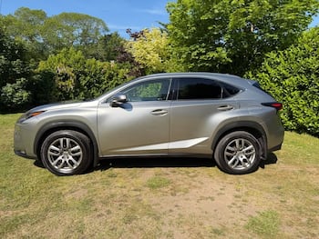 Used Lexus NX 2017 for sale - 79774103: Photo
