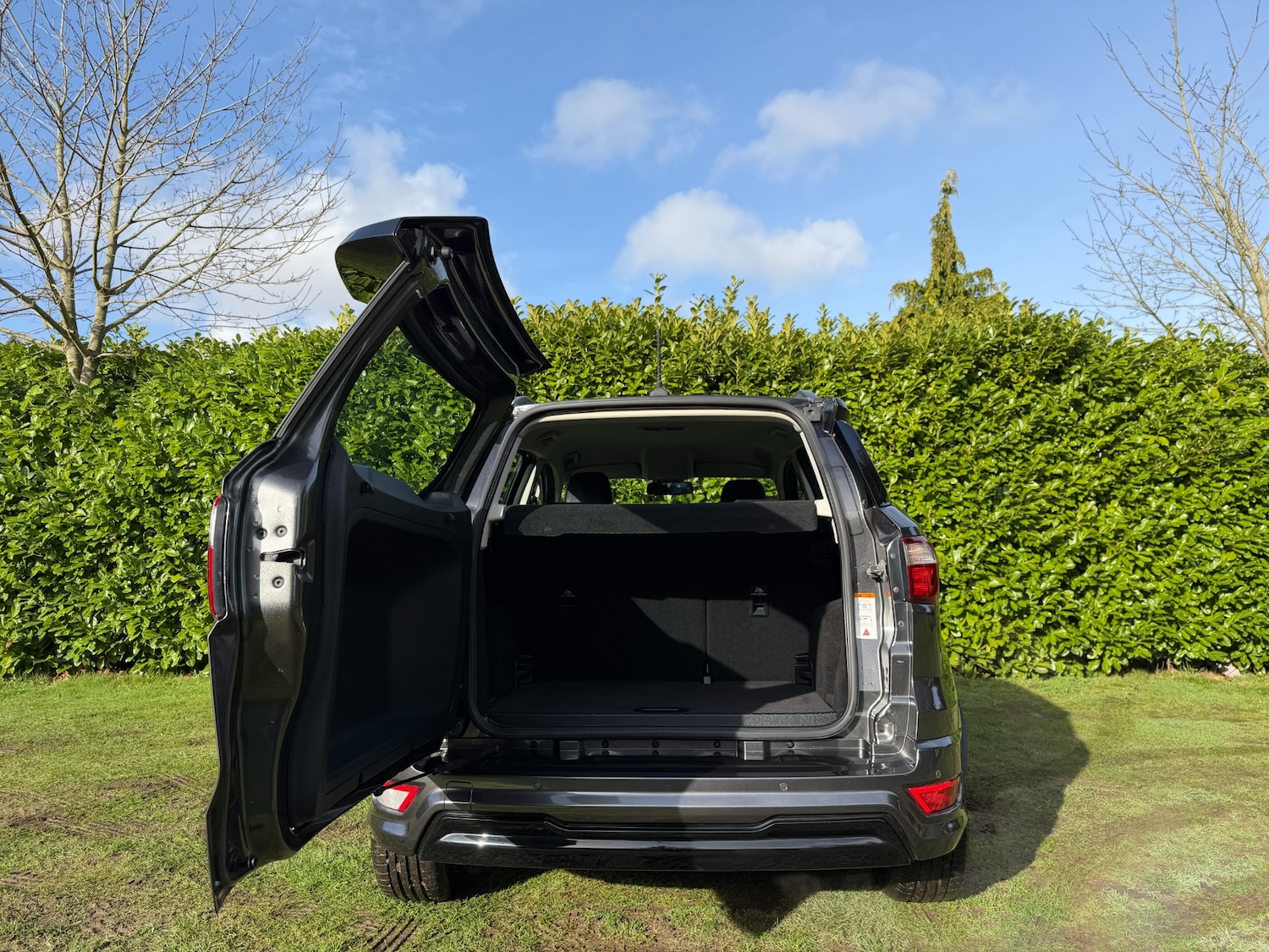 Used Ford Ecosport 2019 for sale - 77351158: Photo 18