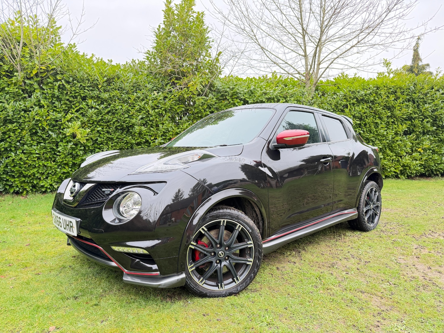 Used Nissan Juke 2016 for sale - 77326761: Photo 3