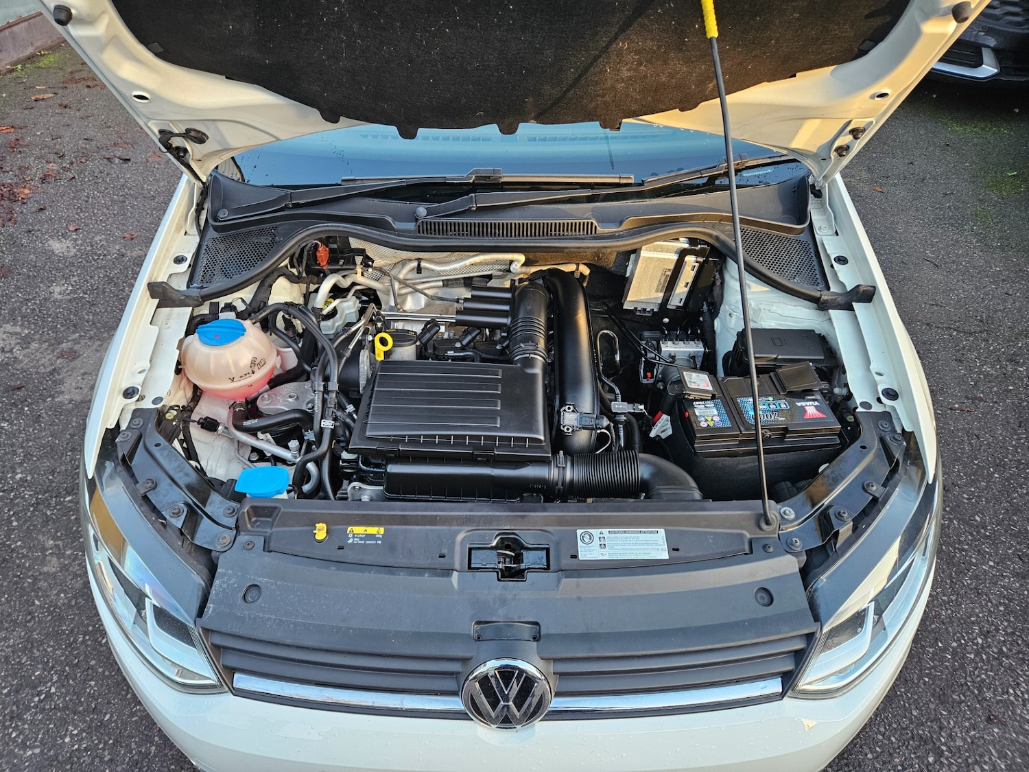 Used Volkswagen Polo 2017 for sale - 76791490: Photo 12