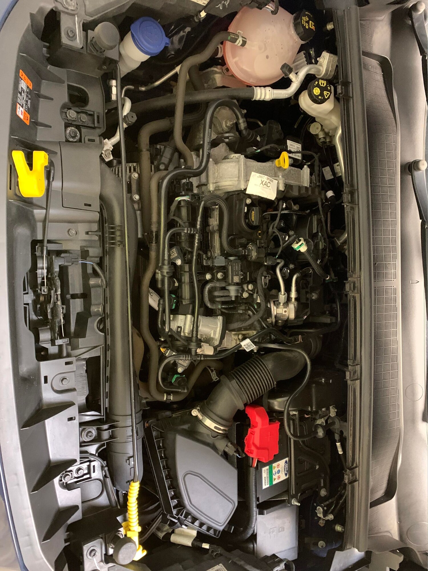 Vehicle 44